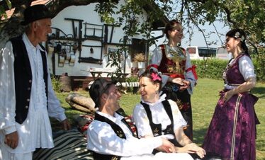 Descubre la Belleza de Fruška Gora y Belgrado